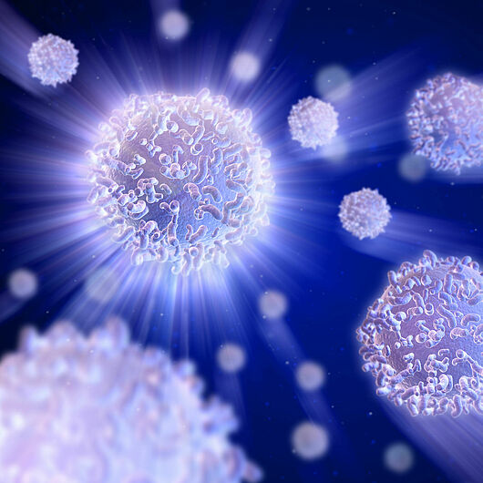 Computer imaging of white blood cells.