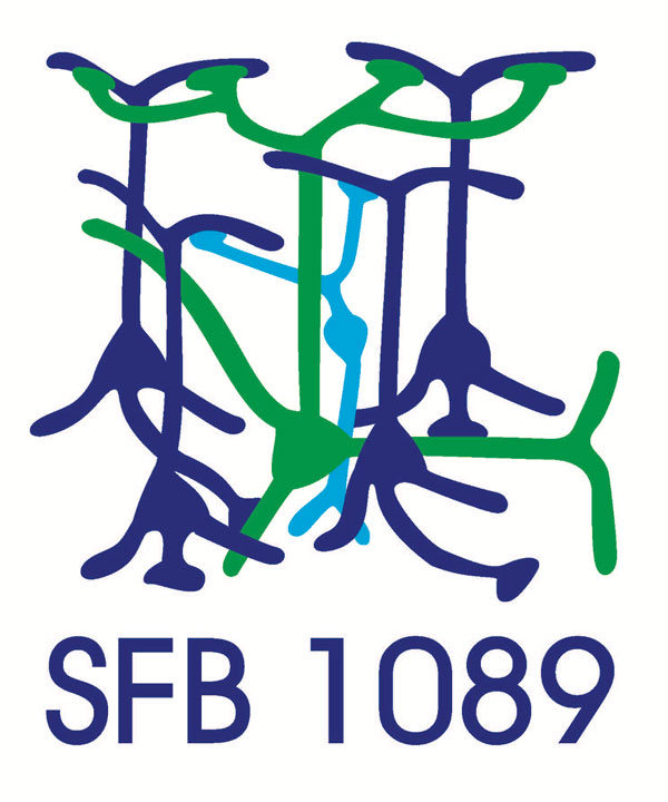 Logo SFB