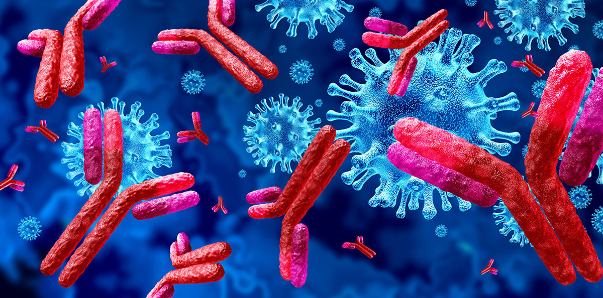 Symbol image shows antibodies and coronaviruses.