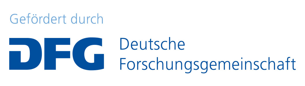 Logo DFG.