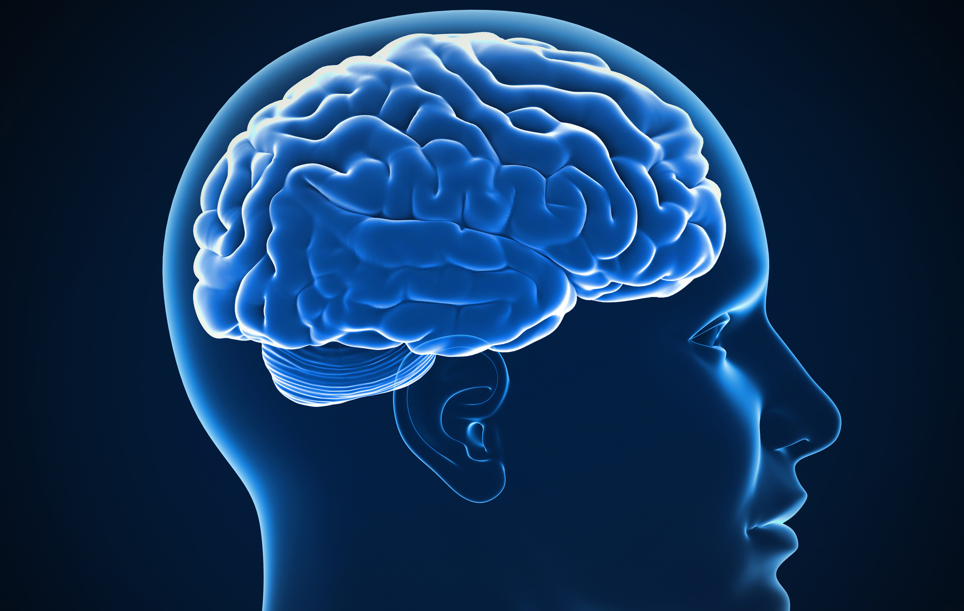 Symbolic image of a brain