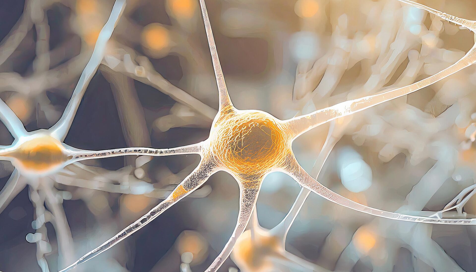 Symbolbild Nervenzelle