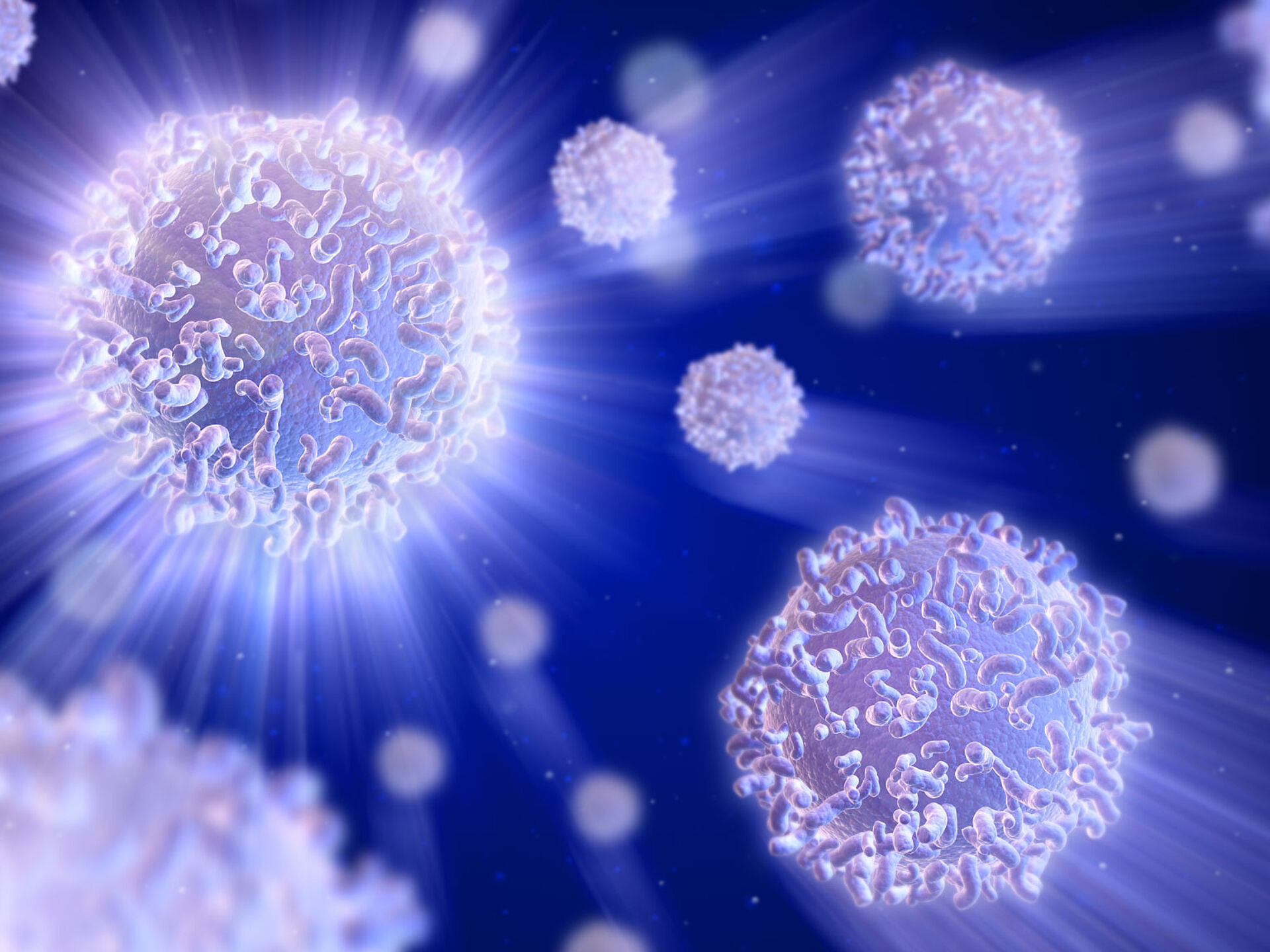 Computer imaging of white blood cells.