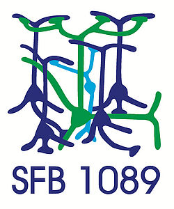 Logo SFB 1089