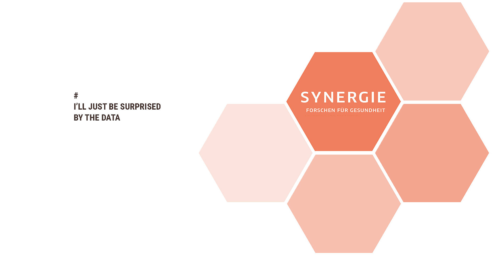 Synergie Header