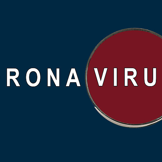 Symbol image shows magnifying glass over Coronavirus signature