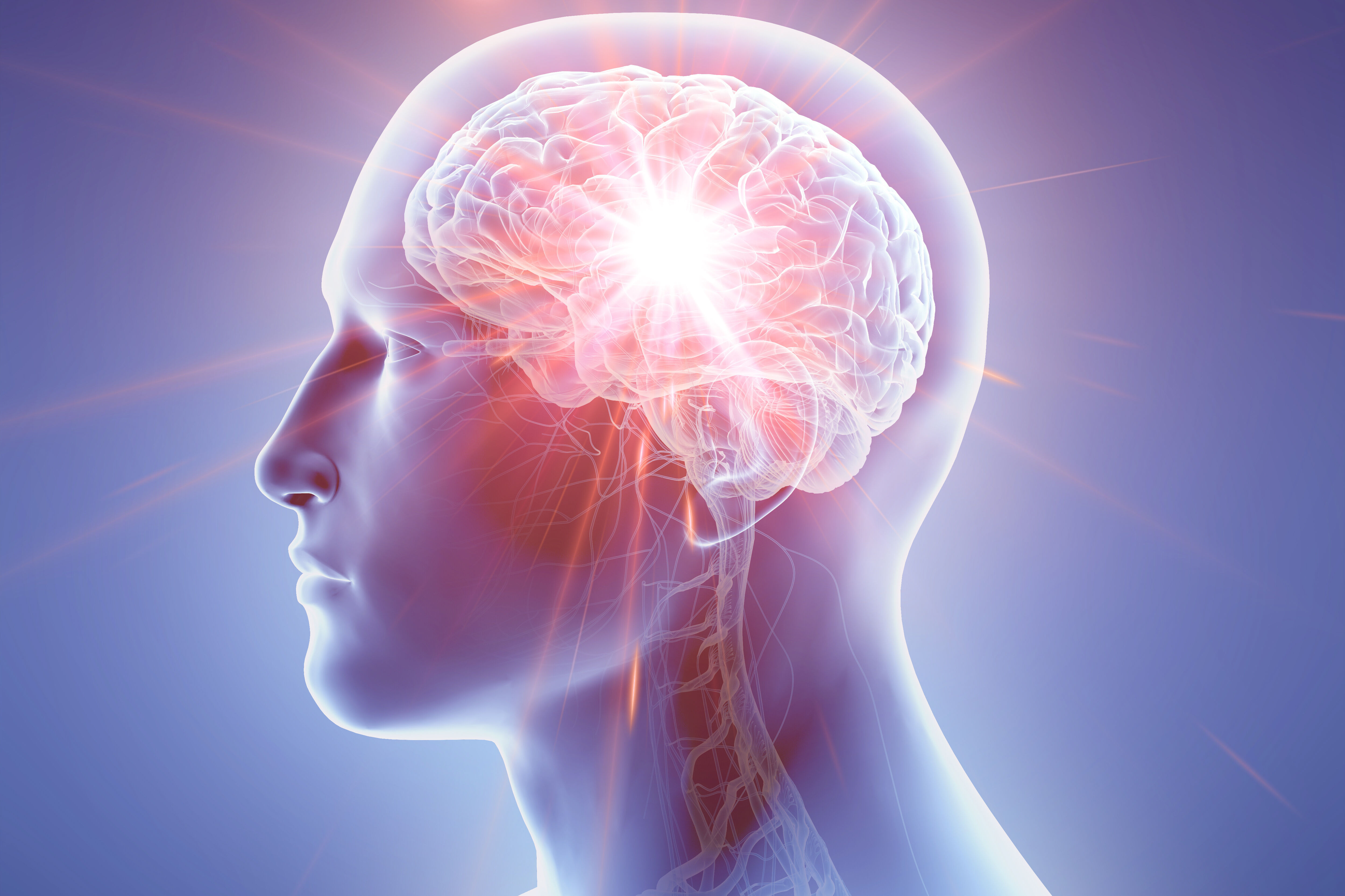 Symbolic image of the human brain