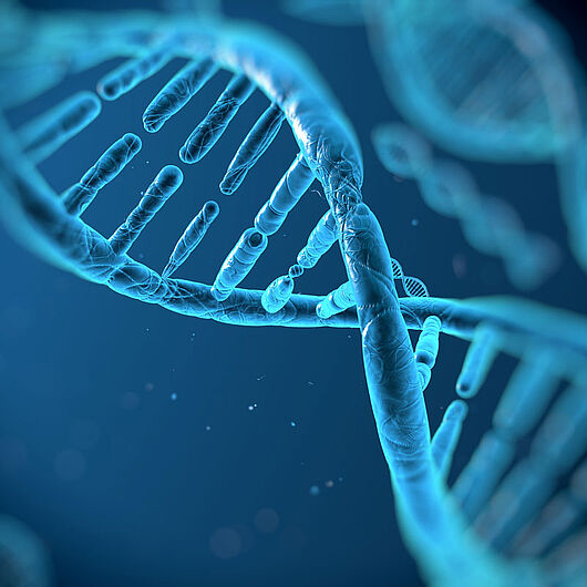 Symbol image of a DNA.