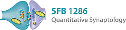 Logo SFB 1286