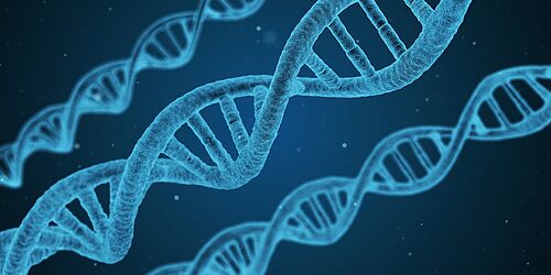 Symbolbild DNA