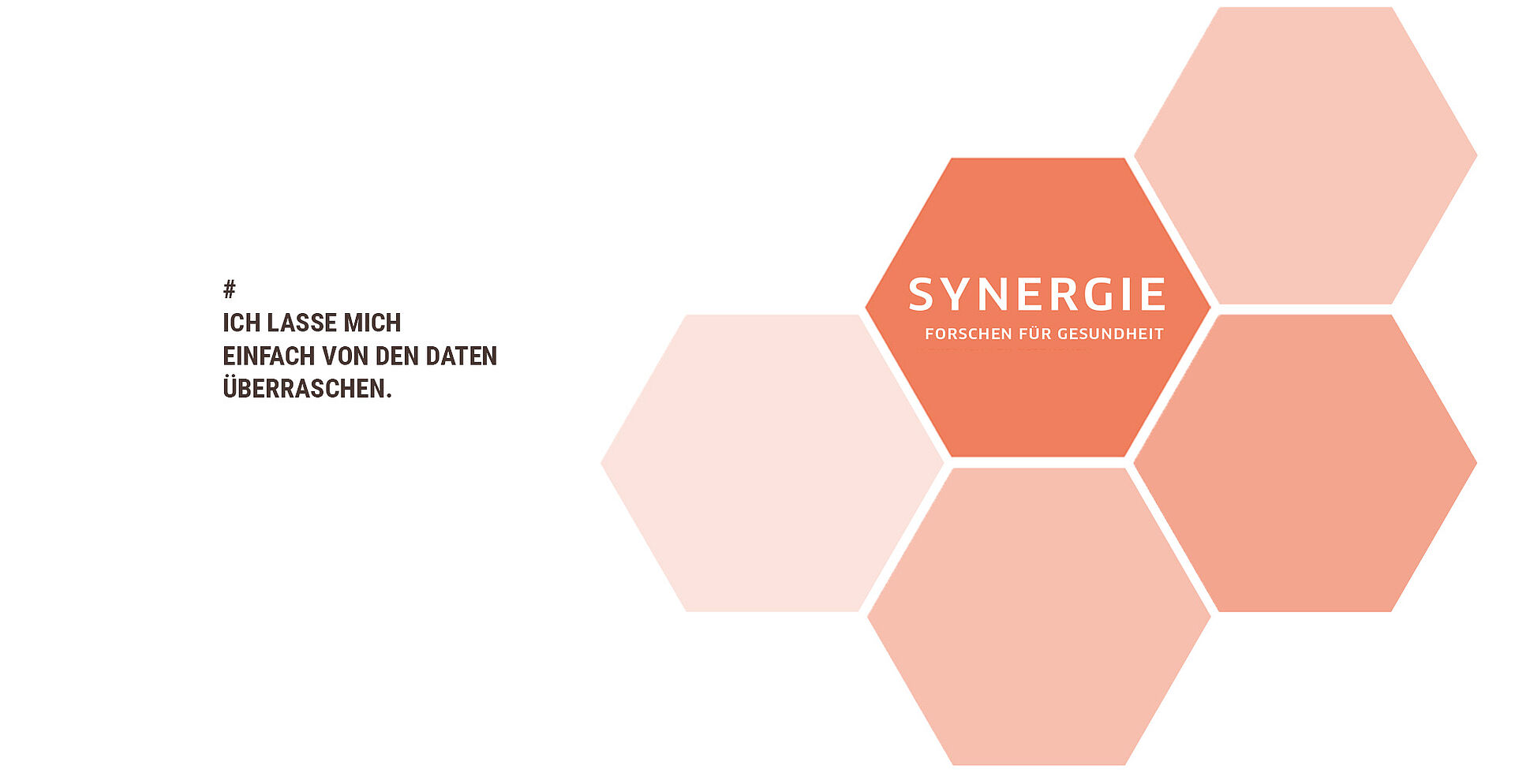 Synergie Header