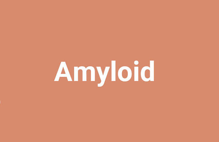 Headergrafik Amyloid