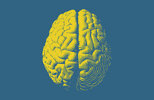 Symbolbild zeigt gelbes Hirn auf blauem Grund