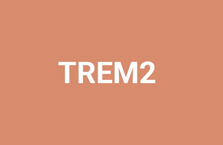 Headergrafik TREM2