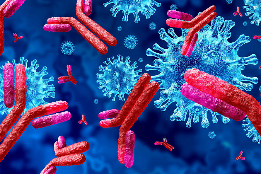Symbolbild von Antikörpern und Viren.