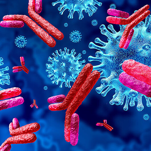 Symbol image of antibodies and viruses.