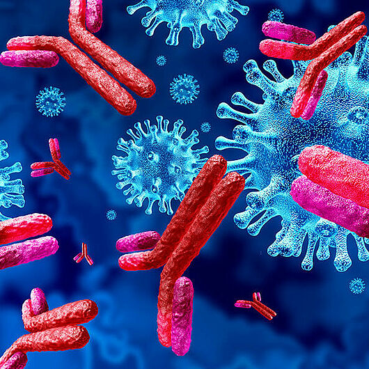 Symbolbild von Antikörpern und Viren.