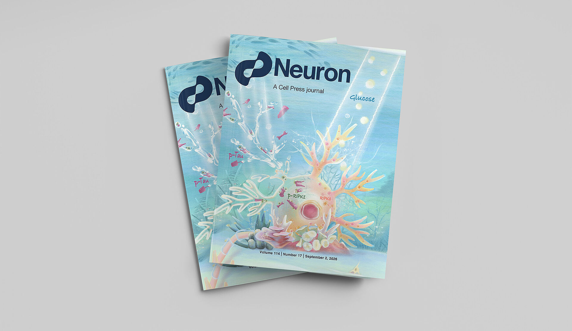 Titelseite des Fachjournals „Neuron“.