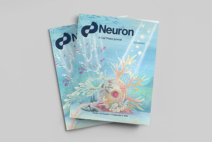 Cover of the scientific journal “Neuron”.