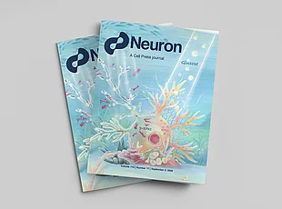 Titelseite des Fachjournals „Neuron“.