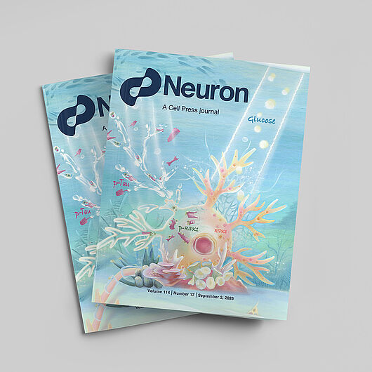 Cover of the scientific journal “Neuron”.
