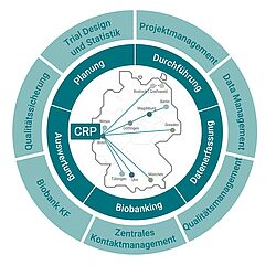 Erklärende Grafik zur CRP
