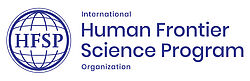 Logo HFSP