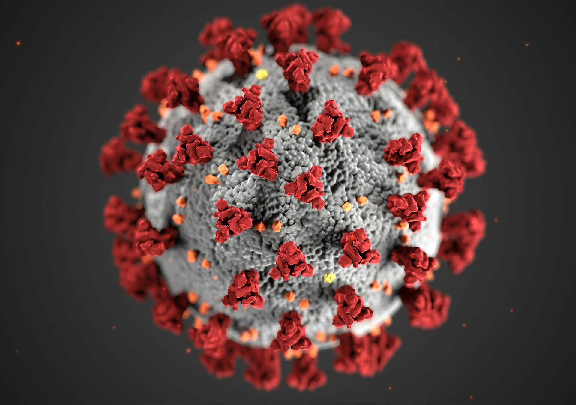 Symbol image Corona virus