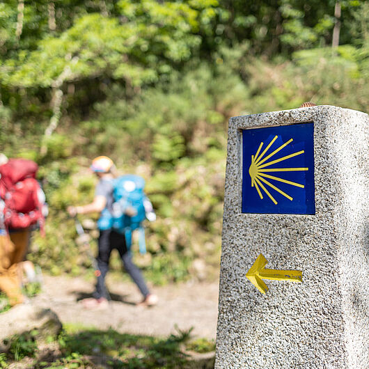 Pilger auf ihrem Weg nach Santiago de Compostela. Wegweiser des Jakobswegs vor einer Waldkulisse. 