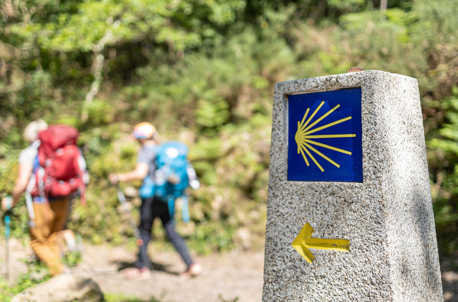 Pilger auf ihrem Weg nach Santiago de Compostela. Wegweiser des Jakobswegs vor einer Waldkulisse. 